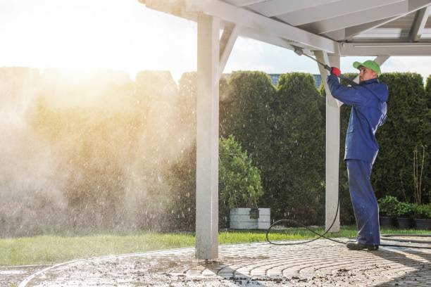 Best Building Exterior Washing  in Fairmont City, IL